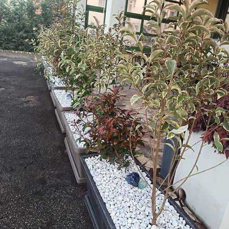 Albergo La Rovere Roverbella المظهر الخارجي الصورة