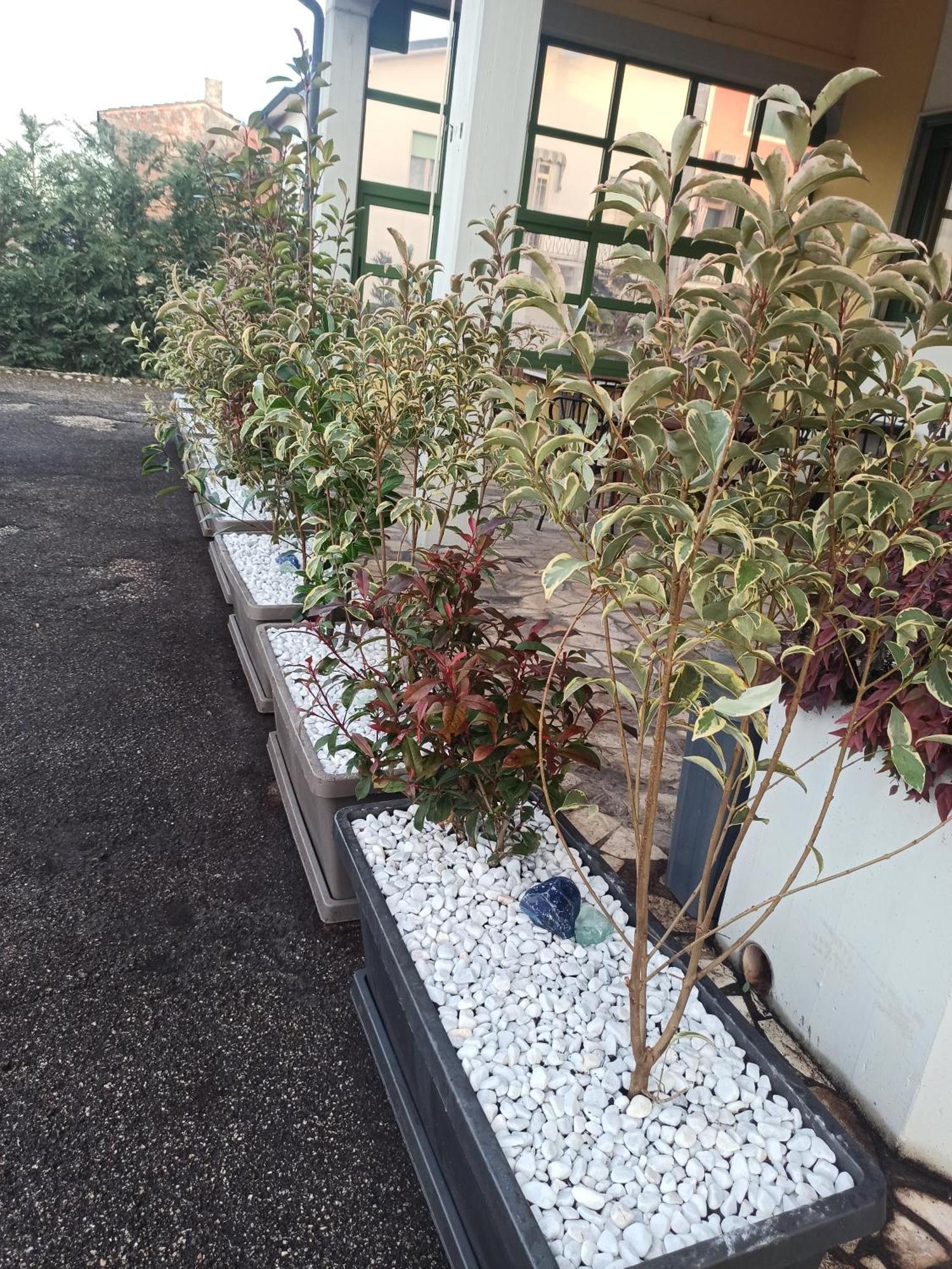 Albergo La Rovere Roverbella المظهر الخارجي الصورة